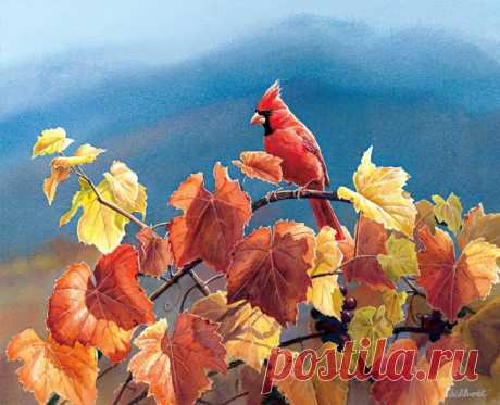 Пенье птиц... Художница Сьюзен Бордет (Susan Bourdet).