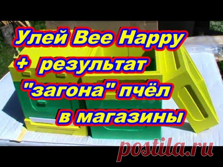Начинающий пчеловод ! Обзор улья Bee Happy + Результат  ЗАГОНА  пчёл в магазины ! - YouTube