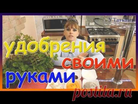 Удобрения для комнатных растений своими руками. Подкормка растений. Удобрения и подкормки для цветов