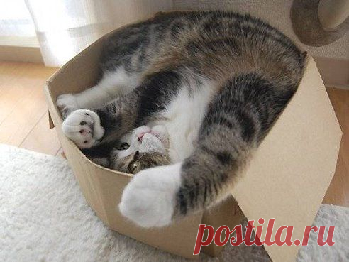 А мне удобно...