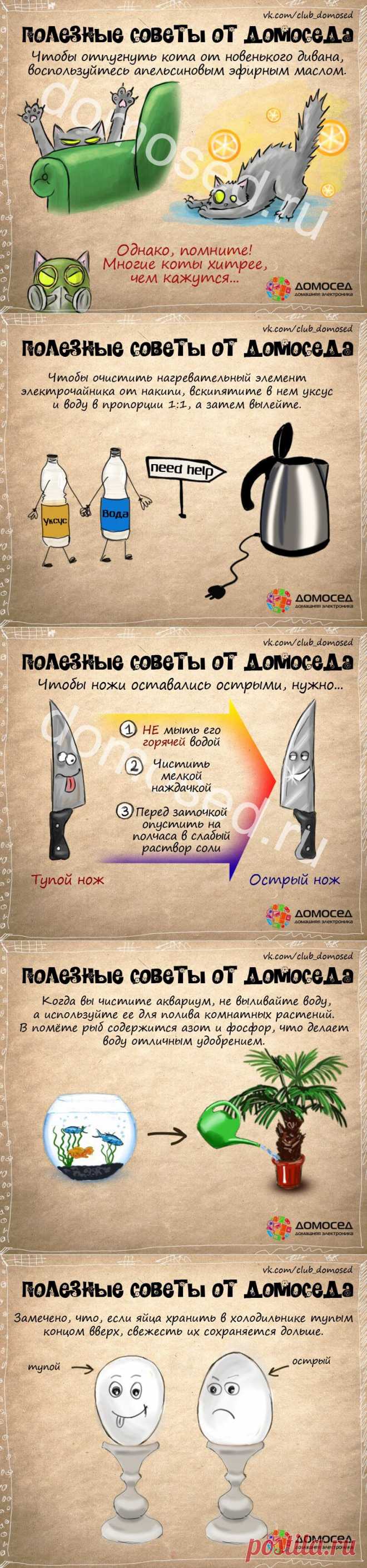 Полезные советы от Домоседа | ДОМАШНИЙ ОЧАГ