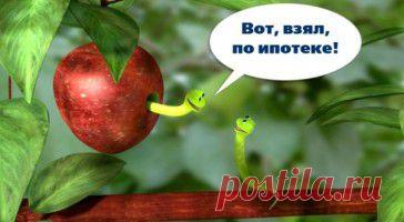 Новая Московская ипотечная программа | ЮРИДИЧЕСКИЙ ПОРТАЛТАЙНА ТРЕТЬЕЙ ПОПЫТКИ
Московское правительство опять не смогло
          Похоже, что решение жилищной проблемы стало одним из любимых занятий правительства Москвы. Шесть лет ушло на попытки подступиться к этой проблеме, однако на попытках все пока и закончилось. Сначала были два выпуска жилищных облигаций, почивших после кризиса, потом – Московская ипотечная программа.