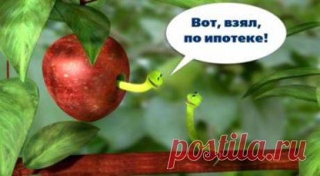 Новая Московская ипотечная программа | ЮРИДИЧЕСКИЙ ПОРТАЛТАЙНА ТРЕТЬЕЙ ПОПЫТКИ
Московское правительство опять не смогло
          Похоже, что решение жилищной проблемы стало одним из любимых занятий правительства Москвы. Шесть лет ушло на попытки подступиться к этой проблеме, однако на попытках все пока и закончилось. Сначала были два выпуска жилищных облигаций, почивших после кризиса, потом – Московская ипотечная программа.