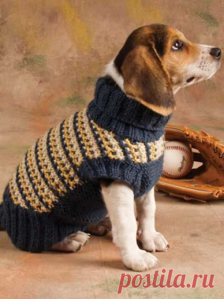 Slip-Stitch Style Dog Sweater