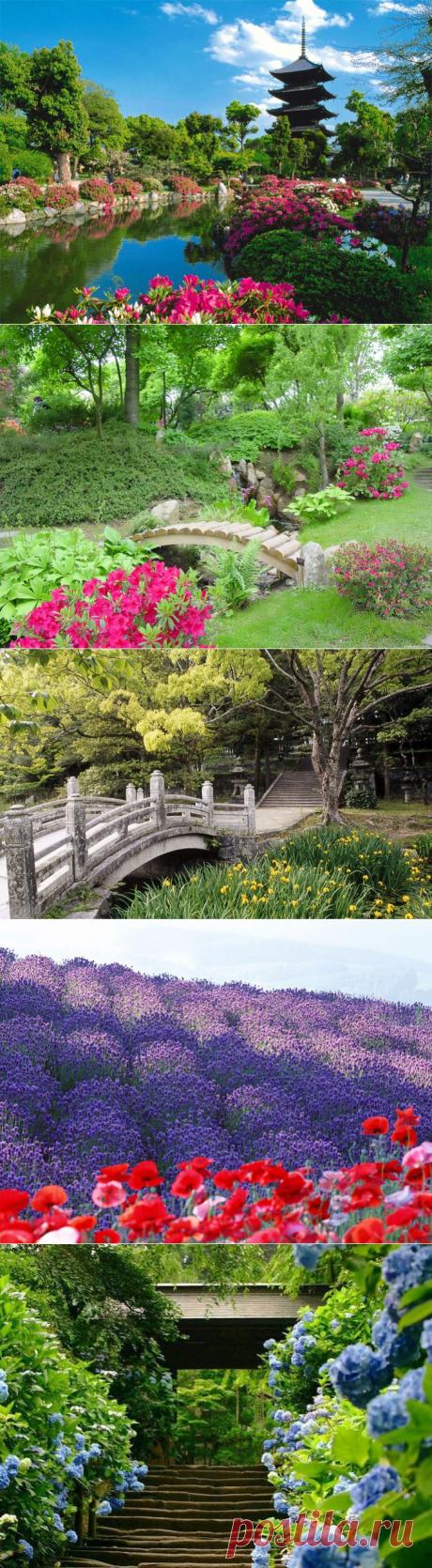 Лето в Японии.