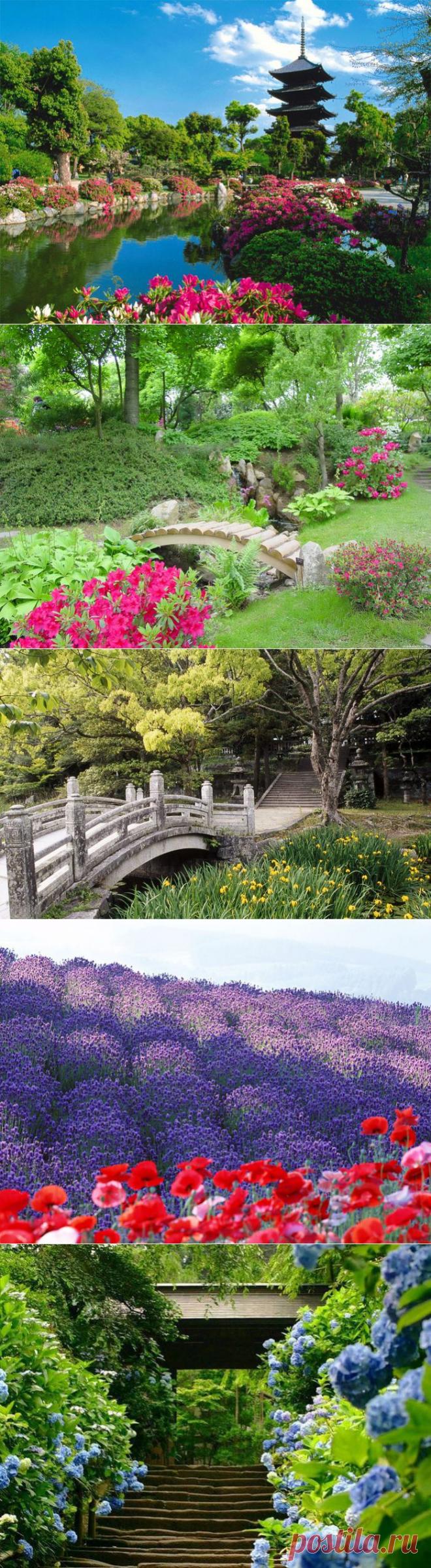 Лето в Японии.