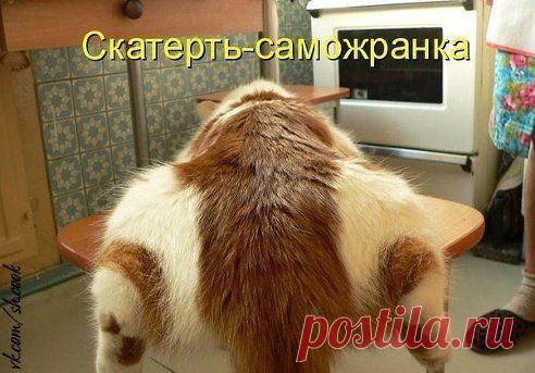 Упитанный и не воспитанный