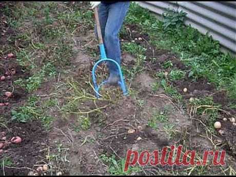 Картофелекопалка видео.