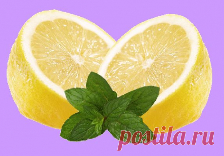 клипарт «дары природы