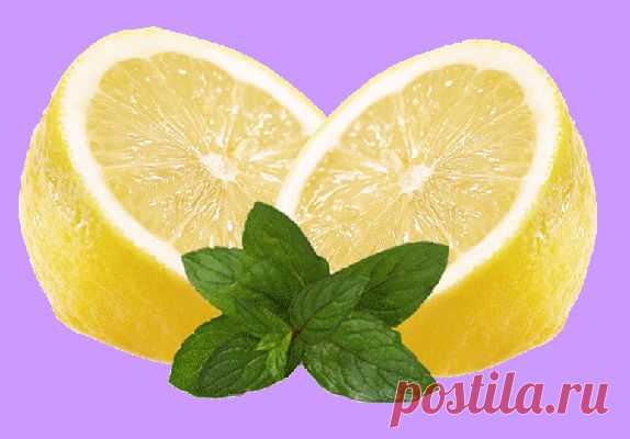клипарт «дары природы