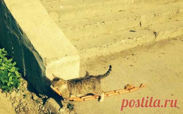 Отличные приколы / Писец - приколы интернета