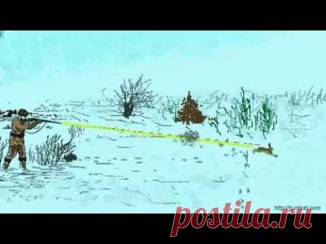 Охота на зайца. Прицеливание и стрельба по зайцу