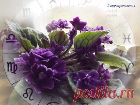 Гороскоп со 2 по 8 октября 2023 | Астролог Нина Стрелкова | 
✧ Перед тем, как перейти в знак Весов 5 октября 2023, Меркурий в знаке Девы делает два важных аспекта с высшими планетами, оказывающими сильное и противоречивое влияние на всю эту неделю...