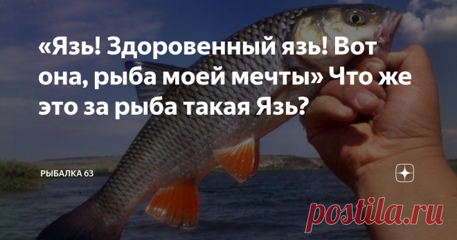 «Язь! Здоровенный язь! Вот она, рыба моей мечты» Что же это за рыба такая Язь? Помните, как в 2011 году весь интернет буквально взорвало видео, где пожилой мужчина поймал огромного язя и его переполняли такие сильные эмоции от улова в виде самой зачетной рыбы? Речь идет о Викторе Гончаренко, на которого тогда обрушилась слава. Его стали приглашать на ток-шоу на федеральных каналах, доверили даже вести кулинарные передачи. Этот мужчина из Вологодской области поймал рыбу