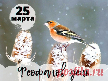 Народно-христианский праздник Феофанов День отмечается 25 марта.