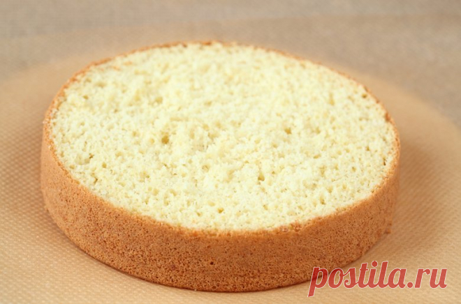 Schneller Biskuitteig - Rezept | GuteKueche.de
