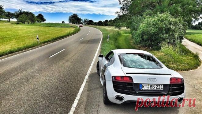 На заметку автолюбителю. Как обезопасить летнее вождение? | Авто-мото