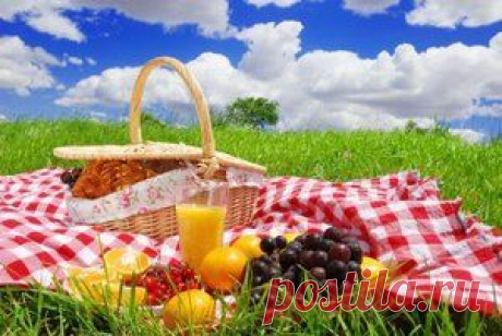 Шесть способов похудеть вкусно. Диеты. Статьи Lady Pravda.ru