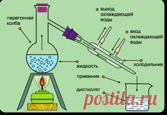 Что такое алкоголь. История алкоголя и воздействие на человека