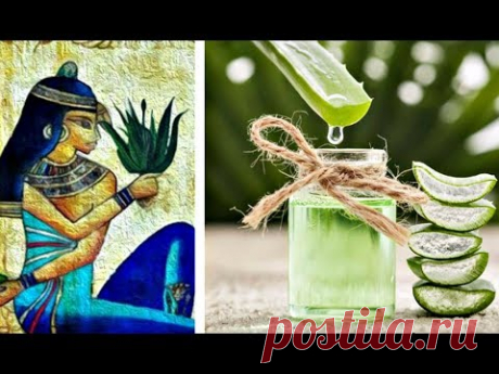 Гель алоэ вера по рецепту Клеопатры! 7 простых шагов