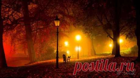 Осенний вечер
Есть в светлости осенних вечеров 
Умильная,таинственная прелесть;
Зловещий блеск и пестрота дерев,
Багряных листьев томный,
Легкий шелест,
Туманная и тихая лазурь
Над грустно-сиротеющей землёю,
И,как предчувствие сходящих бурь,
Порывистый,холодный ветр порою,
Ущерб,изнеможенье-и на всём
Та кроткая улыбка увяданья,
Что в существе разумном мы зовём 
Божественной стыдливостью страданья.
Ф.И.Тютчев