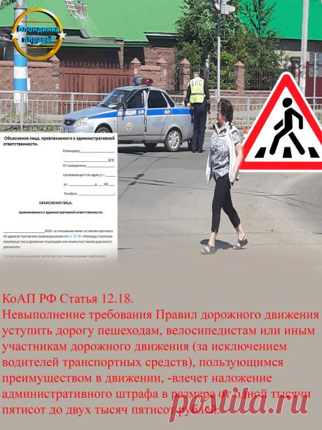 Инспектор считает, что вы не пропустили пешехода? Шаблон объяснения, штрафа не будет. | Блондинка вправе | Яндекс Дзен