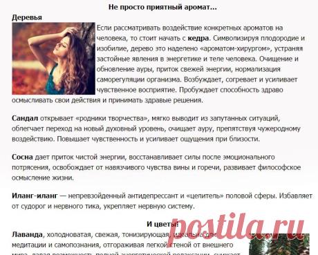 Ароматы и духовные практики Востока. Натуральные эфирные масла, входящие в состав арабских духов, позволяют им быть не только стильным аксессуаром, уместным для каждого случая жизни, но и незаменимым средством для самопознания, ежедневного релакса