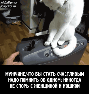 i-141.jpg (358×376)