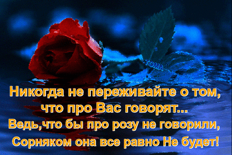 Забей на всё, не падай низко, Будь смелой, радуйся, мечтай! Не принимай всё слишком близко, Да и вообще не принимай! Слова-всего лишь чьё- то мнение, Они не значат ничего... Будь сильной, и меняй решения По зову сердца своего!...
h-22336.jpg (600×400)
