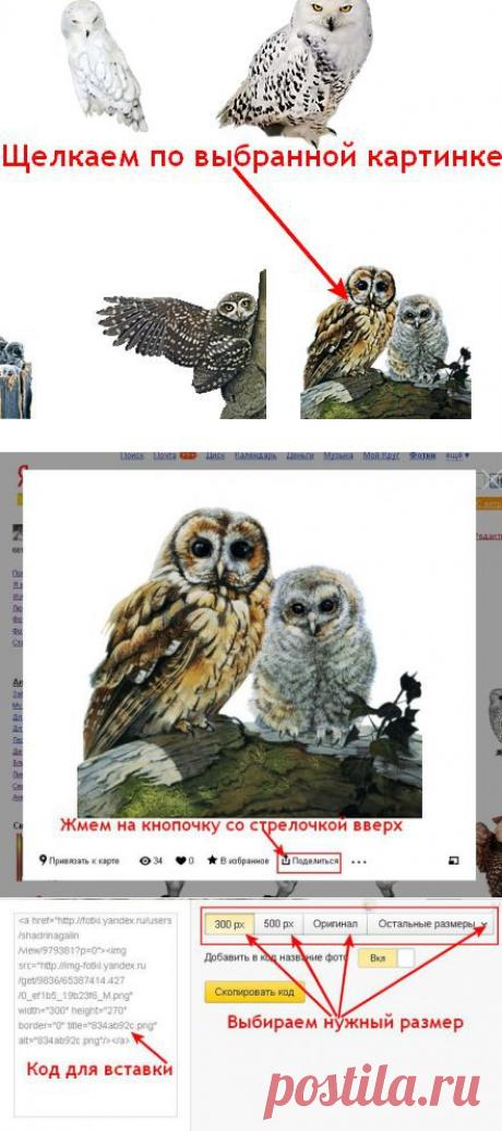 Как просматривать и брать картинки с Яндекс фото в связи с новыми изменениями