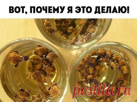 В обязательном порядке жую сушеную гвоздику! Специально зашла к врачу произнести слова благодарности.

Лечебные свойства гвоздики широко используются в китайской медицине. Эта душистая специя способна вылечить множество болезней благодаря уникальному составу. В гвоздике содержится провитамин А (бета-каротин), витамины группы В, витамины С, Е, омега-3 жирные кислоты, эфирное масло и различные минералы.

Состав пряности и правда впечатляющий, все вещества работают! Благодаря...