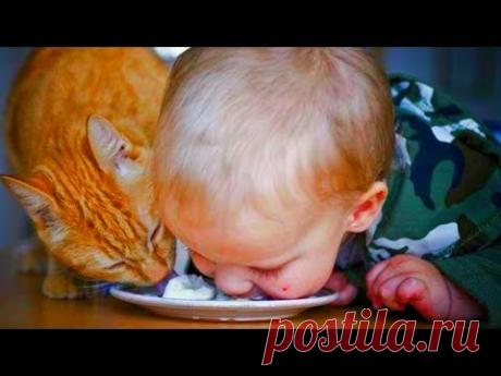 КОТЫ и ДЕТИ, которые ПОДНИМУТ НАСТРОЕНИЕ!