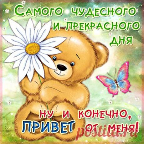 Открытка чудесного дня . Анимация открытки