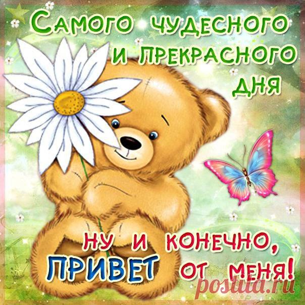 Открытка чудесного дня . Анимация открытки