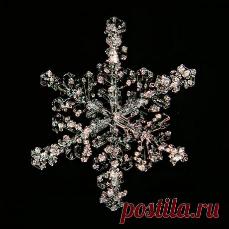 Не сразу поняла, как это снято: невероятной красоты снежинки (настоящие, сделано матушкой-природой и фотографом из Вологды) | Северяночка | Яндекс Дзен