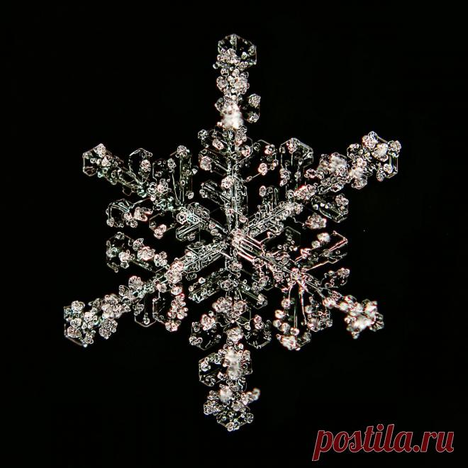 Не сразу поняла, как это снято: невероятной красоты снежинки (настоящие, сделано матушкой-природой и фотографом из Вологды) | Северяночка | Яндекс Дзен