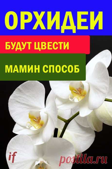 (16) Pinterest