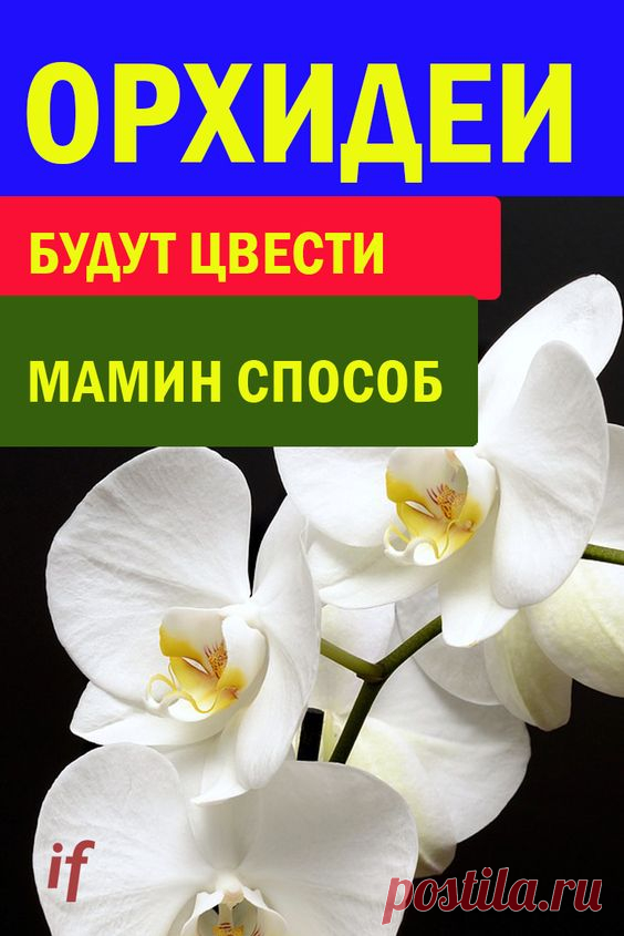 (16) Pinterest