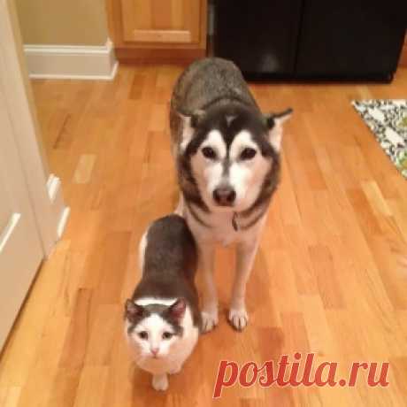Шутки природы: родные души от разных мам и пап