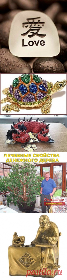 (8) Одноклассники