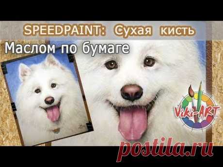 Мастер-класс. Как нарисовать собаку маслом на бумаге. Сухая кисть. Быстрое рисование. StudioVikiART