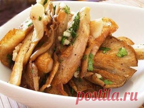 7 вкусных горячих вторых блюд из вешенок
