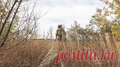 Минобороны: ВСУ за сутки потеряли до 1430 военнослужащих. Украинские войска за сутки потеряли до 1430 военнослужащих. Читать далее