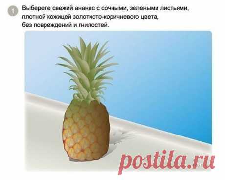 Как вырастить ананас