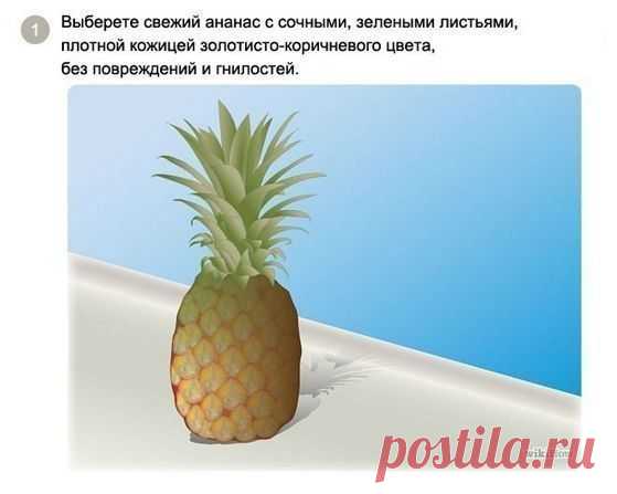 Как вырастить ананас