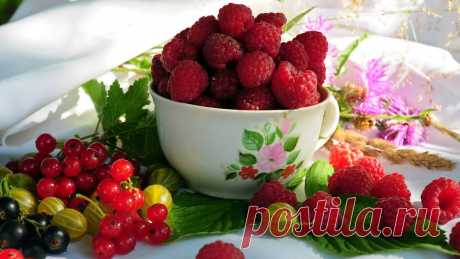 different-berries-wallpaper-1366x768.jpg (1366×768)