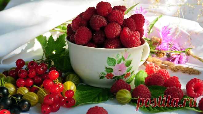 different-berries-wallpaper-1366x768.jpg (1366×768)