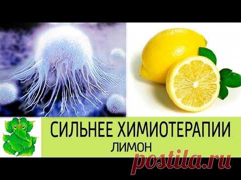 ЛИМОН СИЛЬНЕЕ ХИМИОТЕРАПИИ  Эффективное ощелачивание организма  Как правильно принимать