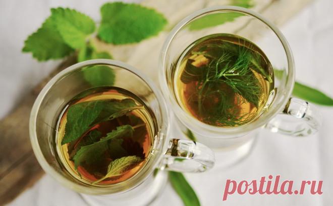 Медики посоветовали травяной чай, спасающий от многих недугов Лабораторный анализ позволил ученым определить: травяной отвар петрушки подавляет рост раковых новообразований и контролирует уровень сахара в крови. Микробиологи обнаружили в составе обычной петрушки большое количество антиокислителей, действие которых блокирует в организме разрыв цепочек ДНК и уменьшает заражение раком клеточных структур. Во время лабораторного эксперимента ученые определили, что флавоноиды пе...