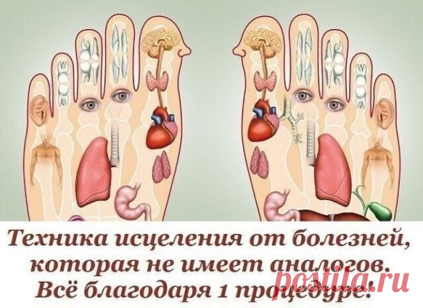 ПОЛЕЗНЫЕ СОВЕТЫ :
